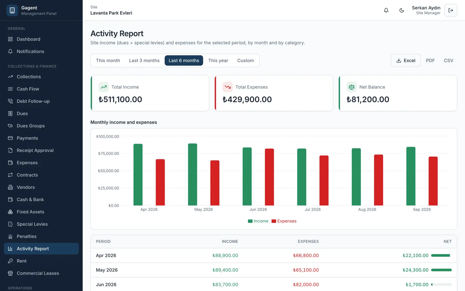 Monthly income and expense report with chart and table.